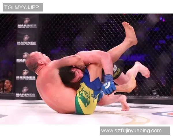 菲多与米特里奥的巅峰对决谁能在拳坛中脱颖而出