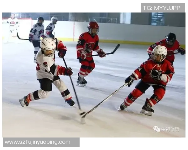 陕西与四川精彩对决集锦回顾激情瞬间与精彩时刻的完美呈现